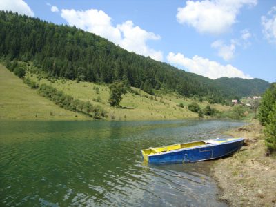 Lac Zaovine