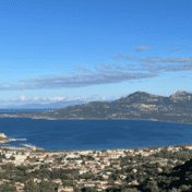 Calvi