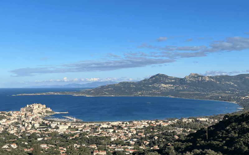 Calvi